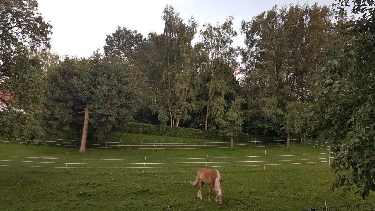 Ferienwohnung Sonnenschein Burgau Exteriör bild